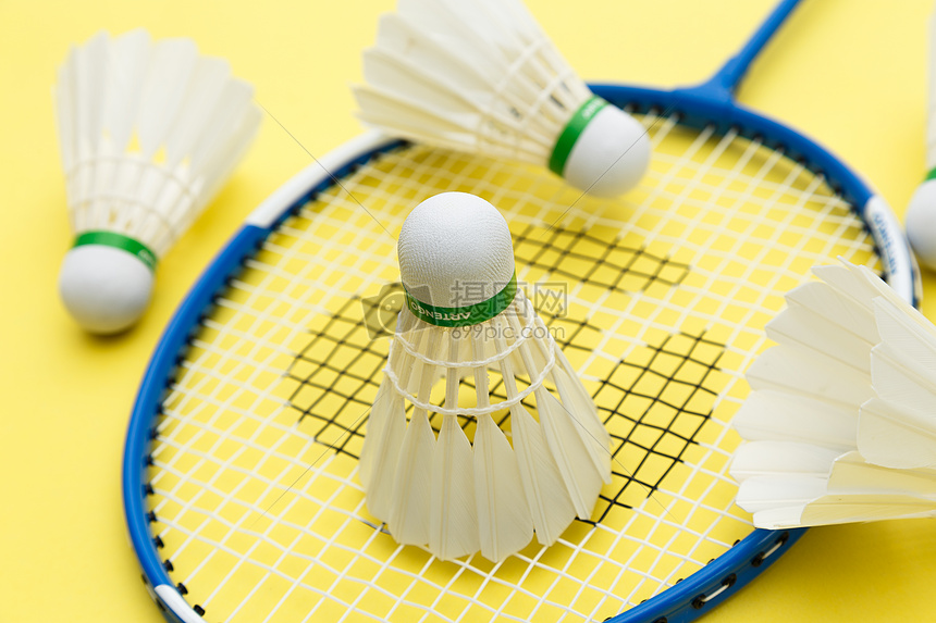 供了机会 供了机会