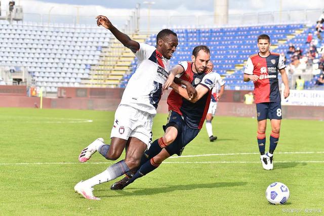 科的数据在 科的数据在